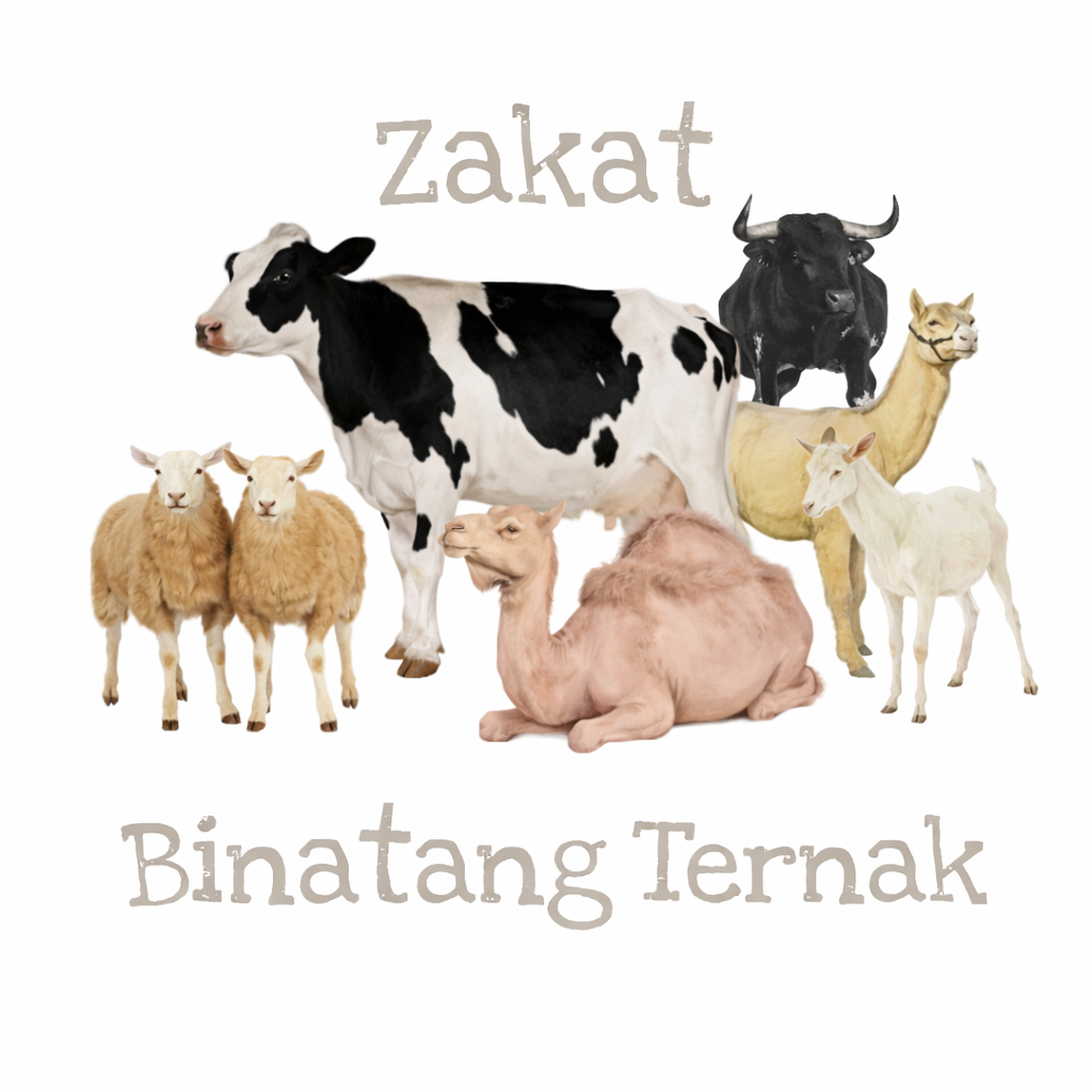 Zakat Ternakan